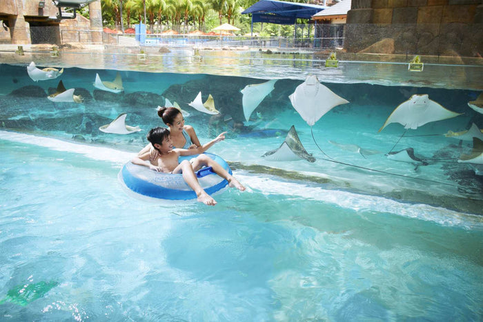 Adventure Cove Waterpark Tickets - Compare Best Prices Here! - BYKidO