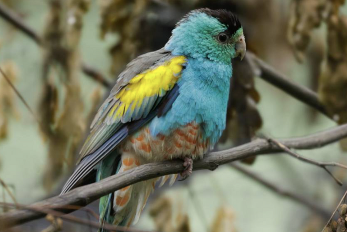 Bird Paradise Tickets - Compare Best Prices Here! - BYKidO