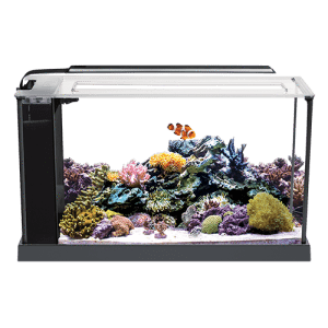 EVO Saltwater All-In-One Nano Aquarium - Fluval