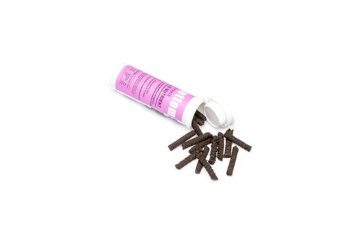 Freshwater Substrate Bottom Sticks - Dr. Tank