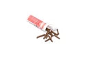 Freshwater Substrate Bottom Sticks - Dr. Tank