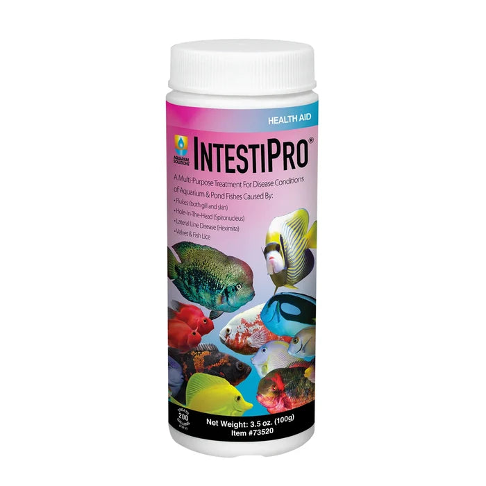 IntestiPro Multi-Purpose Fish Medication - Aquarium Solutions