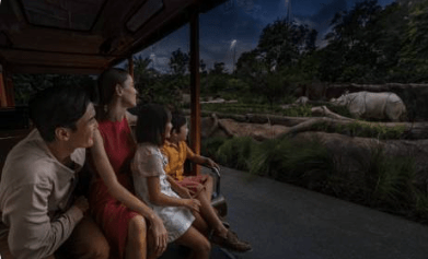 Night Safari Tickets - Compare Best Prices Here! - BYKidO