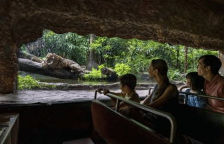 River Wonders Tickets - Compare Best Prices Here! - BYKidO