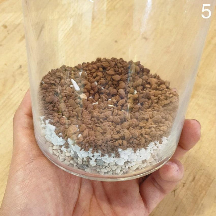 The Green Capsule: Closed Ornamental Terrarium DIY Kit @ Just $45 (Delivery Fee Inclusive) - BYKidO
