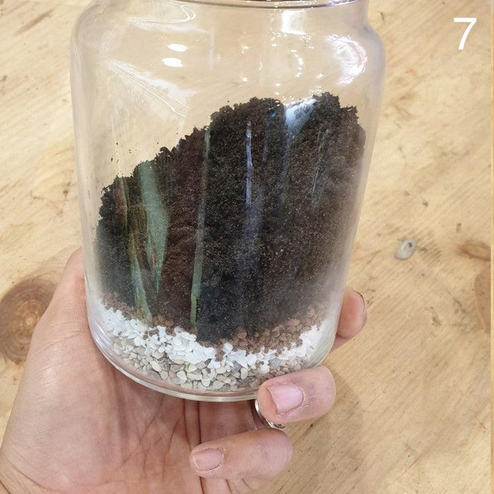 The Green Capsule: Closed Ornamental Terrarium DIY Kit @ Just $45 (Delivery Fee Inclusive) - BYKidO