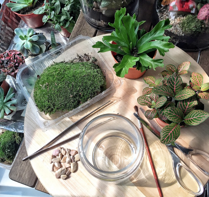 The Green Capsule: Open Foliage Terrarium Workshop - BYKidO