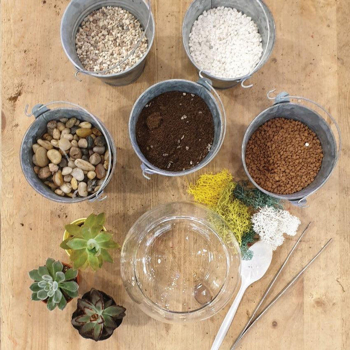 The Green Capsule: Open Succulent Terrarium DIY Kit @ Just $50 (Delivery Fee Inclusive) - BYKidO