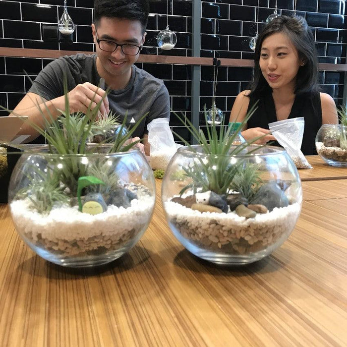 The Green Capsule: Open Terrarium Workshop @ Just $42 - BYKidO