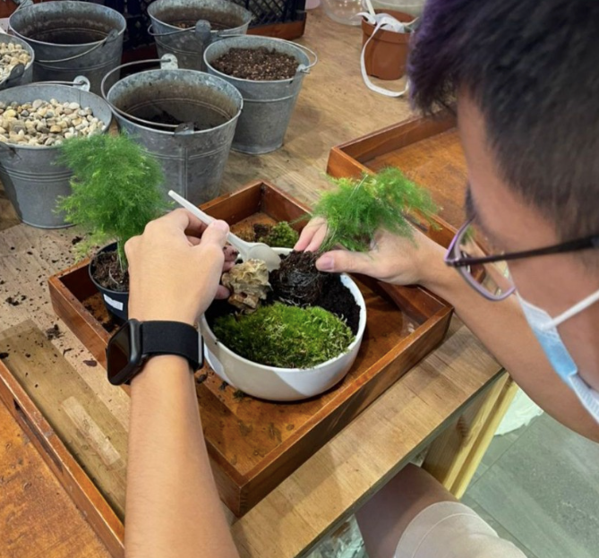 The Green Capsule: Zen Garden Workshop - BYKidO