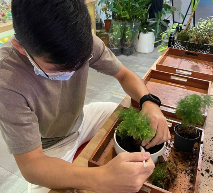 The Green Capsule: Zen Garden Workshop - BYKidO