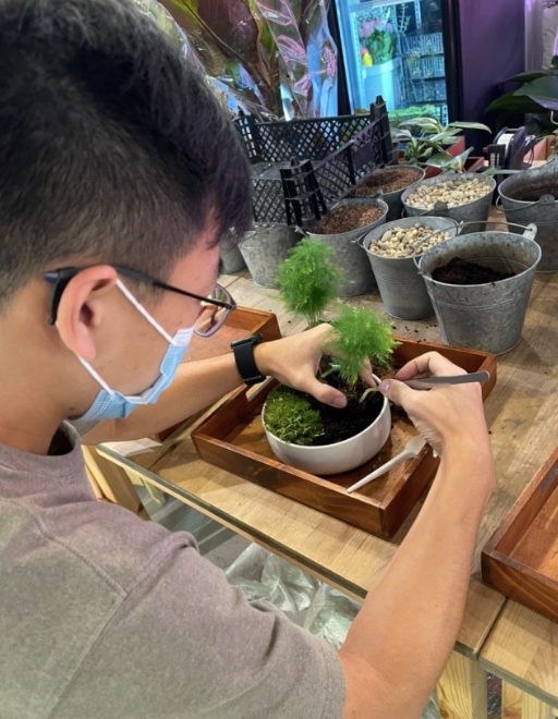 The Green Capsule: Zen Garden Workshop - BYKidO