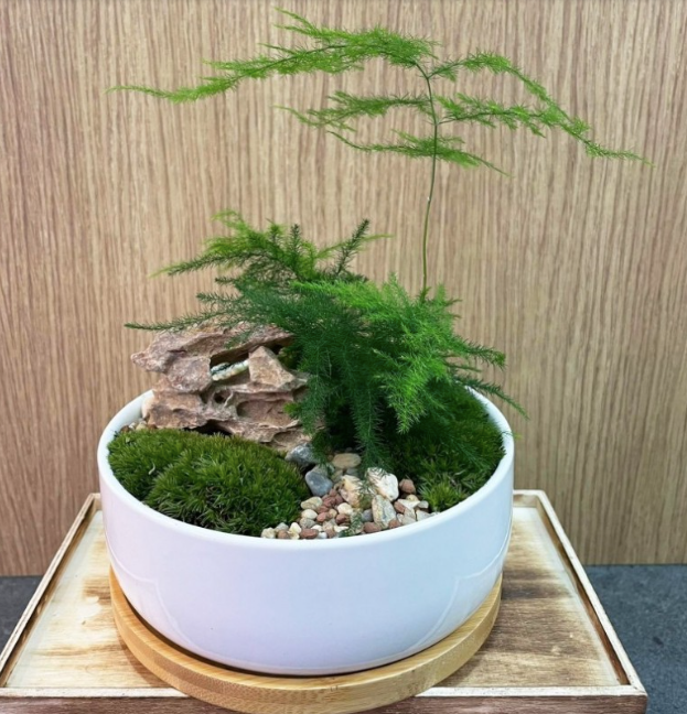 The Green Capsule: Zen Garden Workshop - BYKidO
